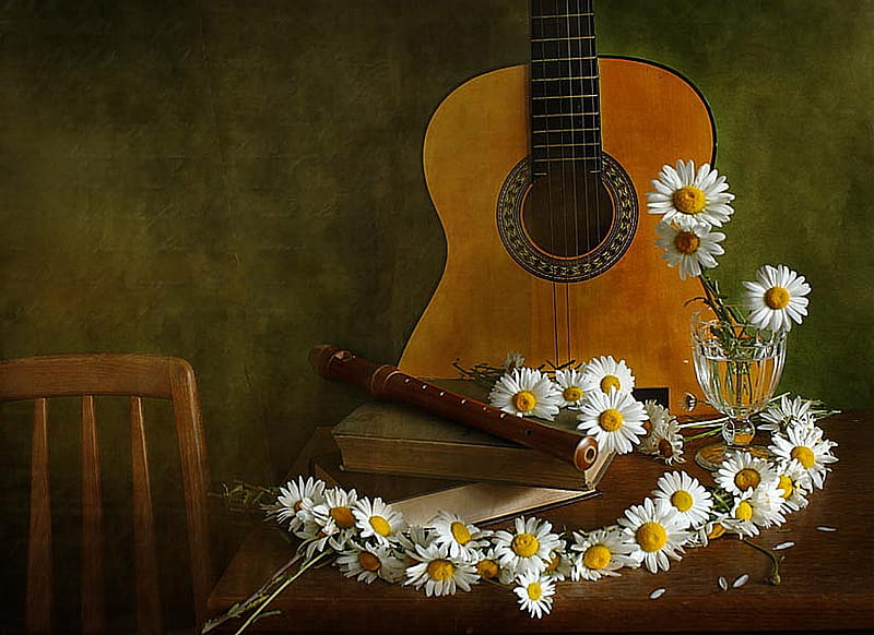 still life, pretty, wreath, classical guitar, books, book, bonito, old, graphy, nice, flowers, beauty, harmony, lovely, music, daisies, water, cool, guitar, bouquet, cup, flower, daisy, HD wallpaper