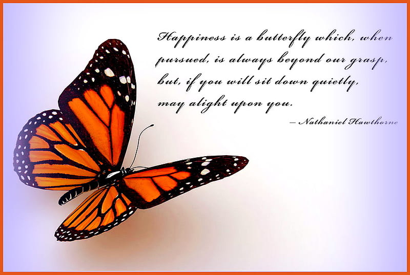 Happiness is a butterfly, butterfly, orange black white, happiness is, monarch, verse, HD wallpaper
