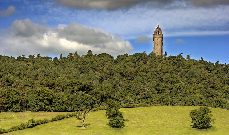 Tower in the Forest, forest, grass, tower, ruins, clouds, sky, hill, HD wallpaper