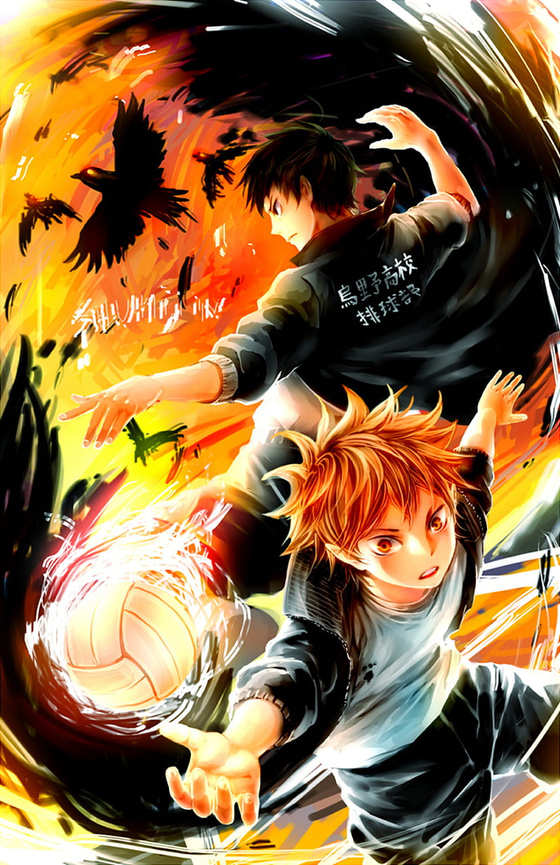 Haikyuu, Anime, Karasuno, Team, Shoyo Hinata, Tobio Kageyama