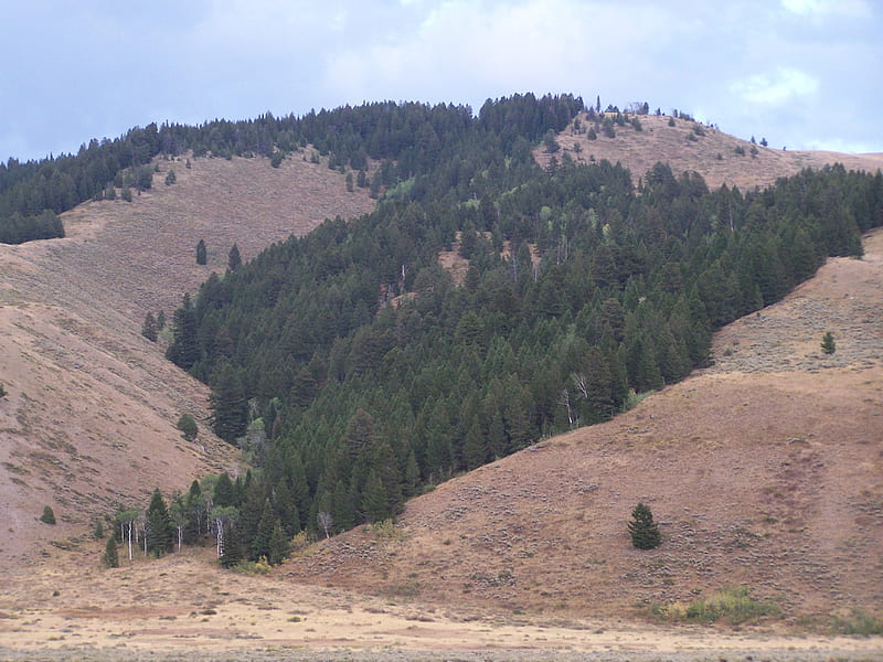 Mountain Range near Jackson Hole, Wyoming, Scenic, Mountains, Tourism, Airports, HD wallpaper
