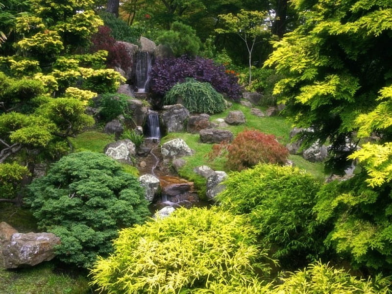 Garden Greenery, rocks, small waterfall, garden, trees, shrubs, HD wallpaper