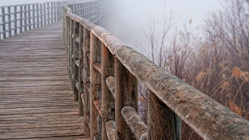 wooden rail in a bridge in fog r, rail, bridge, reeds, r, wood, fog, HD wallpaper