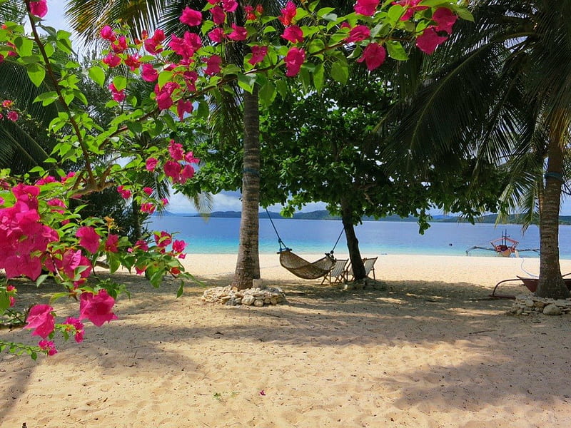 Time for rest, bonito, hammock, bushes, floral, sea, beach, nice, flowers, rela, blue, rest, exotic, lovely, time, ocean, greenery, roses, trees, waters, nature, sands, HD wallpaper