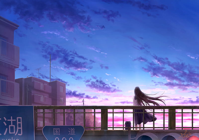 anime girl, dawn, fence, buildings, clouds, anime girl, scenery, Anime, HD wallpaper