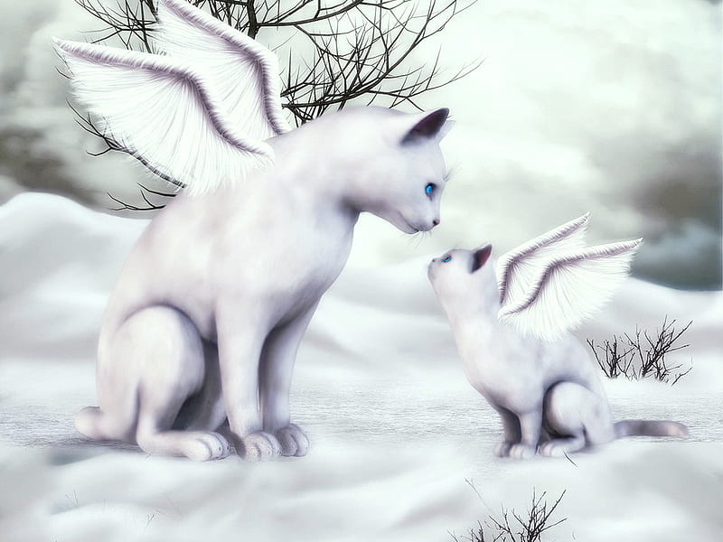 Spirit Guardians, wings, felines, tails, ears, abstract, artwork, paws, fantasy, cats, HD wallpaper