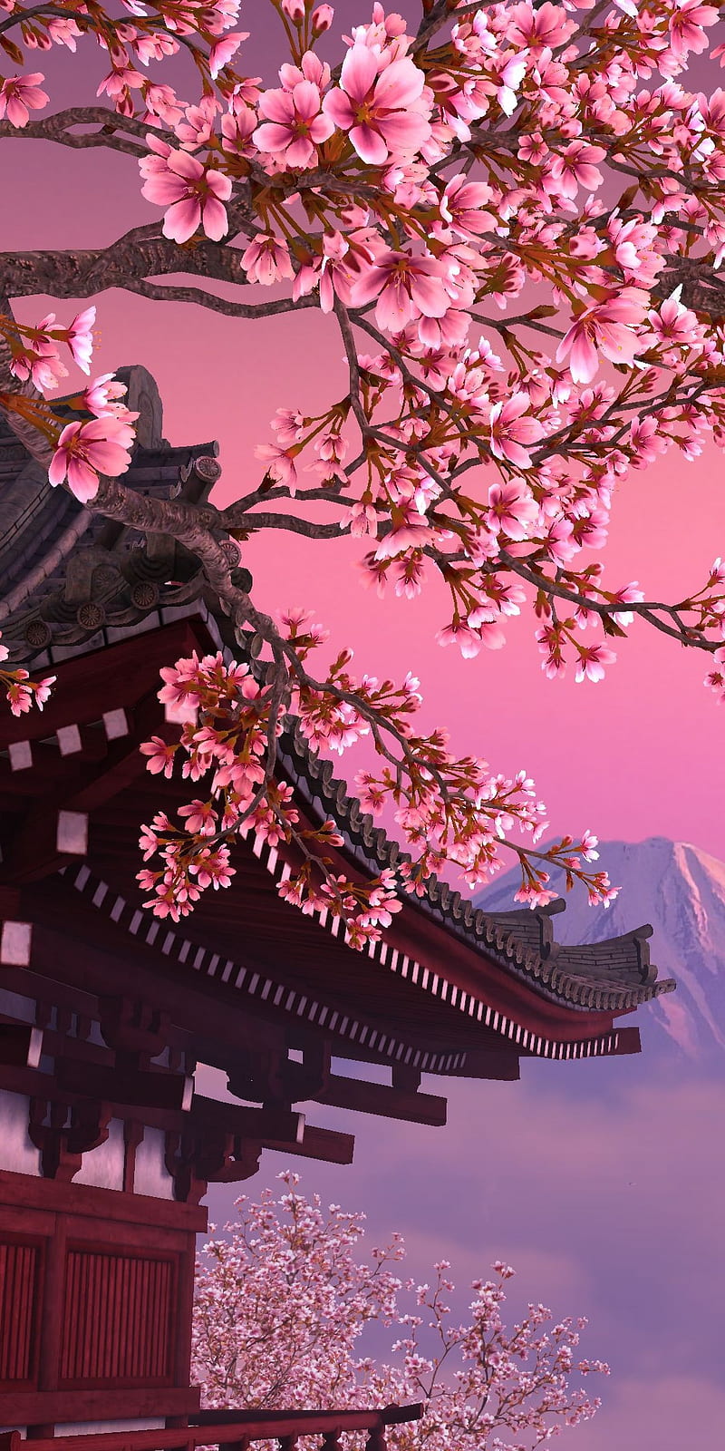 Cherry Blossom 4K Ultra HD Mobile Wallpaper
