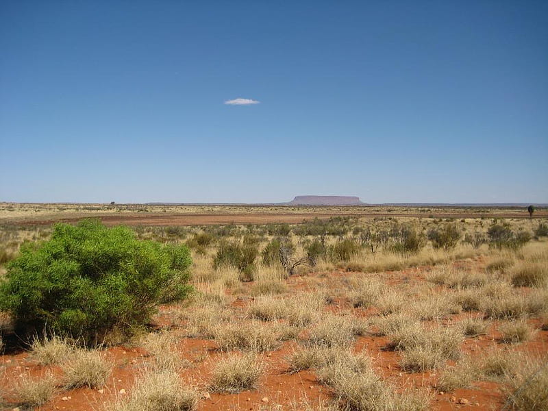 Australian outback, australia, desert, bush, remote, HD wallpaper