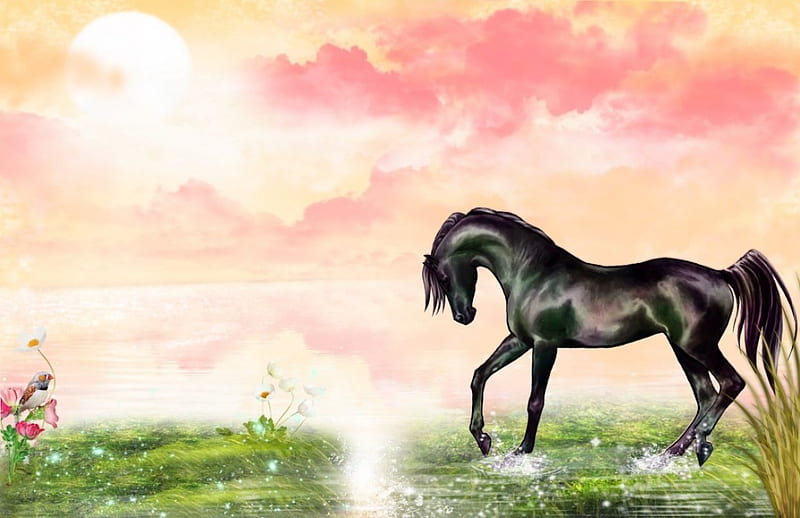 Beauiful Black Horse, horse, 3D and CG, abstract, horses, HD wallpaper |  Peakpx