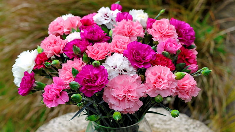 Bouquet of carnations, colorful, pretty, bouquet, flowers, bonito, spring, carnation, pink, HD wallpaper