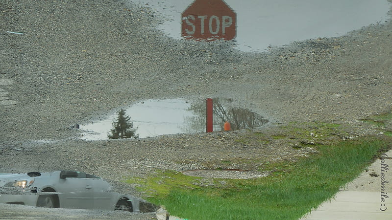 Soaking Wet Car & Stop Sign, rain, rainy, puddle, puddles, green grass, Traffic Signals nSigns, HD wallpaper