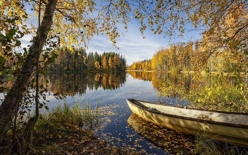 Autumn Lake, rowboat, autumn, trees, lake, reflection, HD wallpaper