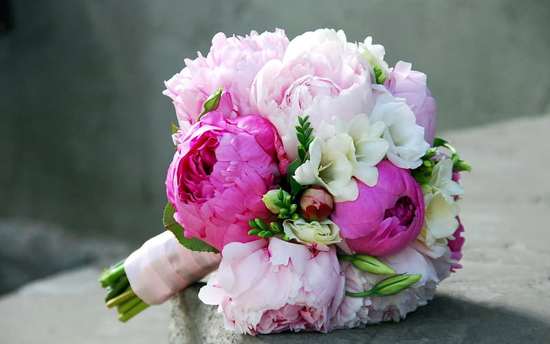 peonies, bride's bouquet, bouquet, sia, flowers, wedding bouquet, HD wallpaper