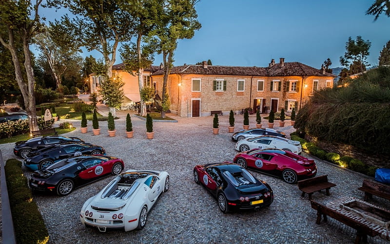 fabulous bugatti veyrons in mansion driveway, carros, dusk, mansion, driveway, HD wallpaper