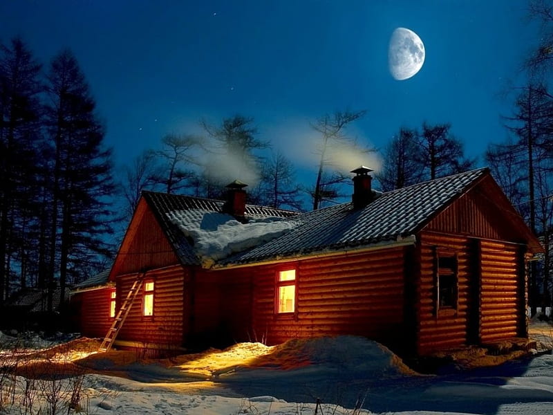 Winter Night, moon, snow, chalets, trees, winter, light, HD wallpaper