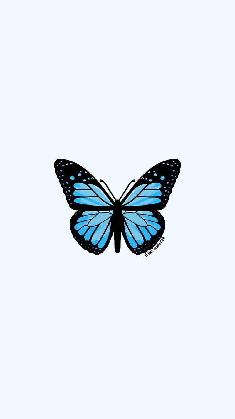 Light Blue Butterfly. Blue butterfly , Butterfly iphone, Butterfly, Small Butterflies, HD phone wallpaper