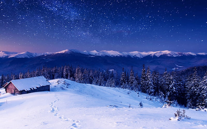 Starry Winter Evening, Stars, Sky, Snow, Nature, Night, Winter, HD wallpaper