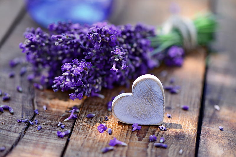 Lavender, romance, love, heart, flowers, wood, HD wallpaper