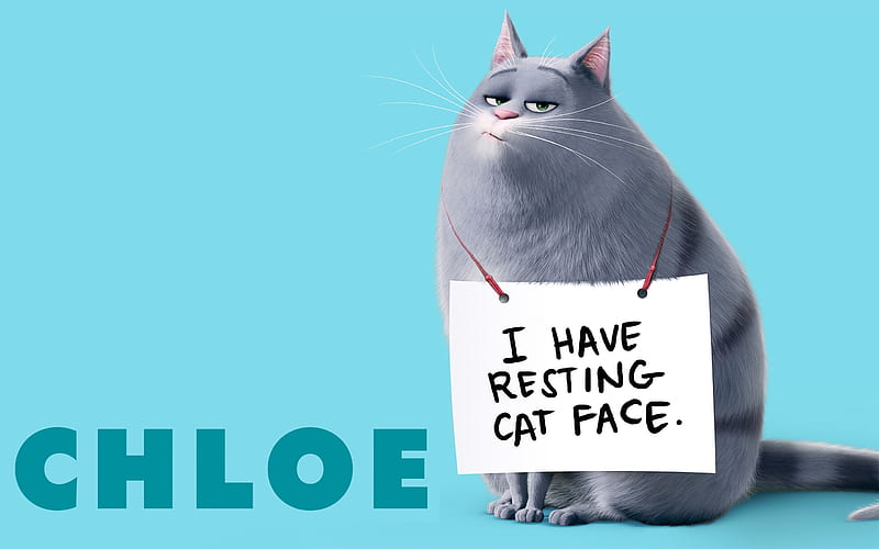 The secret life of pets, movie, animation, funny, cat, blue, pisica, HD wallpaper The secret life of pets, movie, animation, funny, cat, blue, pisica, HD wallpaper