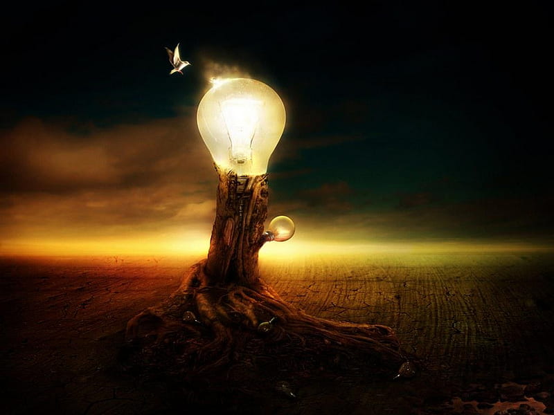 THE ONLY BRIGHT LIGHT, bulbs, tree, fused, bird, bright, HD wallpaper