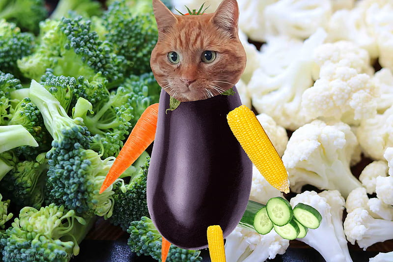 Eggplant wallpaper   Dont touch my phone wallpapers Wallpaper Clip art