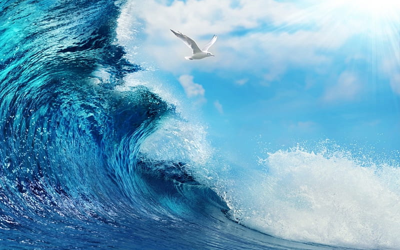 Wave and seagull, cloud, ocean, seagull, sky, sea, wave, water, bird, summer, white, blue, HD wallpaper