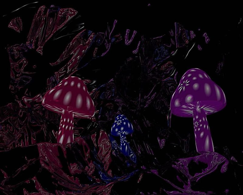 Magic Mushrooms, forest floor, art, darkness, spotted mushrooms, HD wallpaper