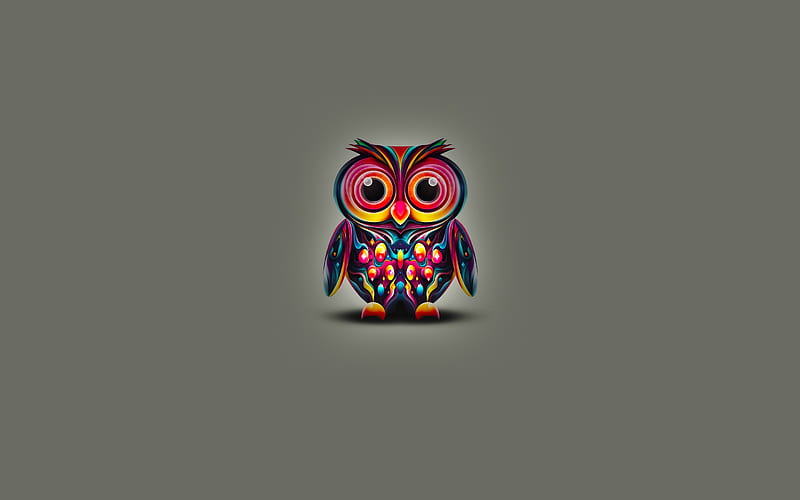 Abstract owl minimal, cartoon owl, gray background, colorful owl, cartoon  birds, HD wallpaper | Peakpx