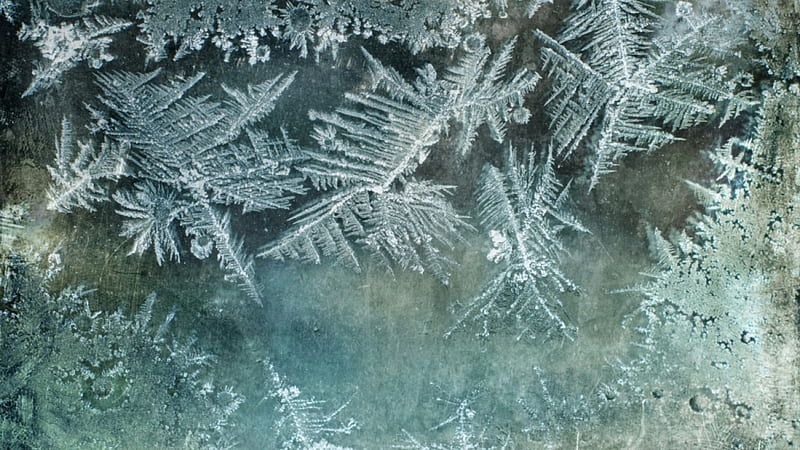 Frost pattern, frosted, abstract, winter, iceflower, frosty, graphy, ice, nature, ice crystal, frozen, frost, HD wallpaper