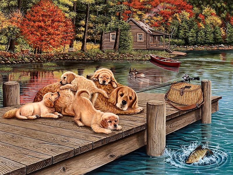 Lazy Day on the Dock - Dogs F, art, bonito, pets, illustration, lake, artwork, canine, animal, water, duck, bird, painting, wide screen, dogs, HD wallpaper