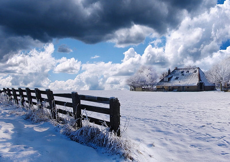 Winterscape, snow, nature, sky, winter, HD wallpaper