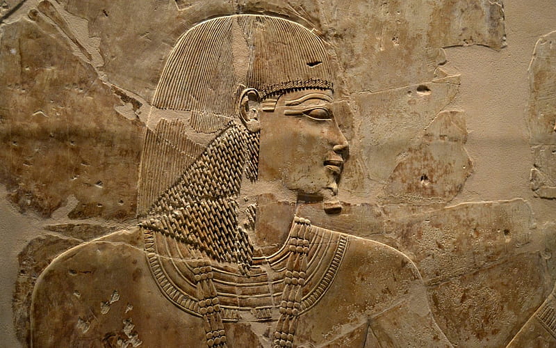 Khaemhat ~ Chief of the Granary Relief, Stone, Relief, Ancient, Egypt, HD wallpaper