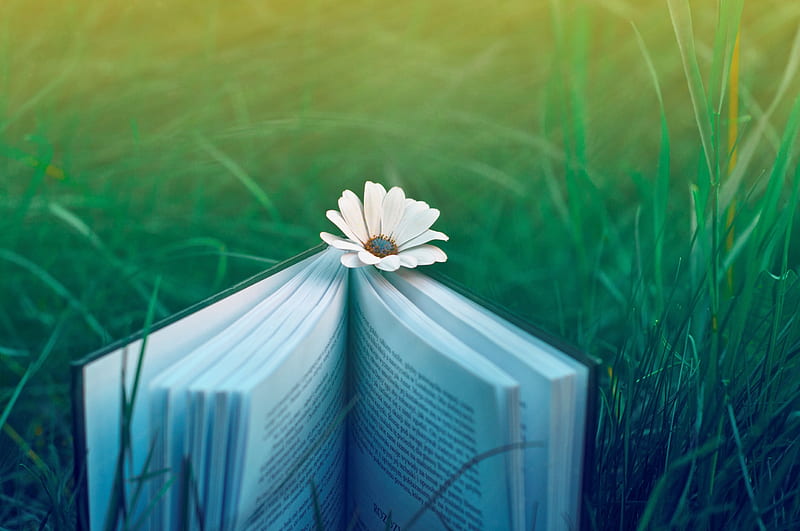 natures bookmark, graphy, grass, book, flower, beauty, nature, HD wallpaper