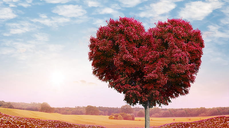 Tree Heart, tree, heart, love, HD wallpaper