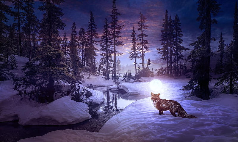 Moon Fox, elenadudina, forest, luminos, moon, winter, iarna, animal, moon, vulpe, purple, snow, fox, white, night, blue, HD wallpaper