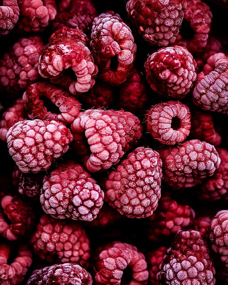 raspberry, berry, fruit, frozen, HD phone wallpaper