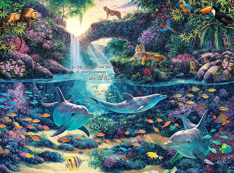 Sealife, fish, luminos, summer, tiger, animal, fantasy, dolphin, water, vara, HD wallpaper