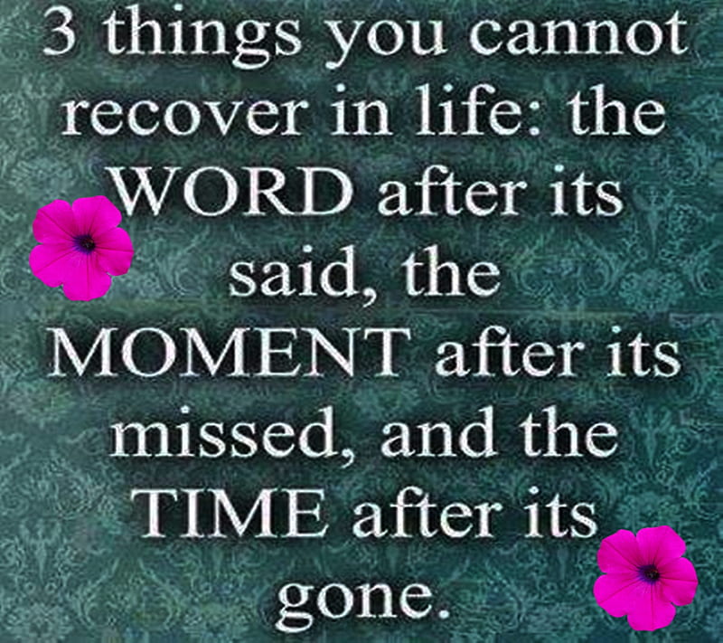 Word Moment Time, moment time, HD wallpaper