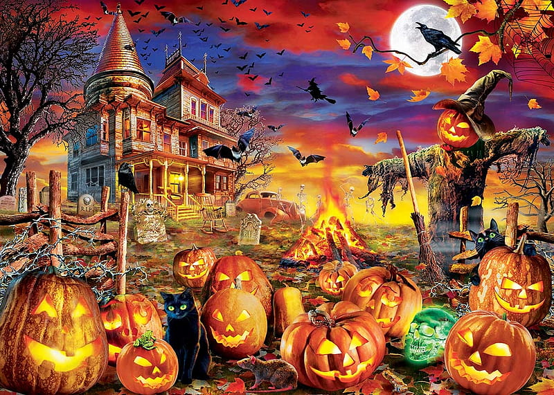 Pumpkin Land, duck, pumpkins, flying, witch, haunted, home, HD wallpaper