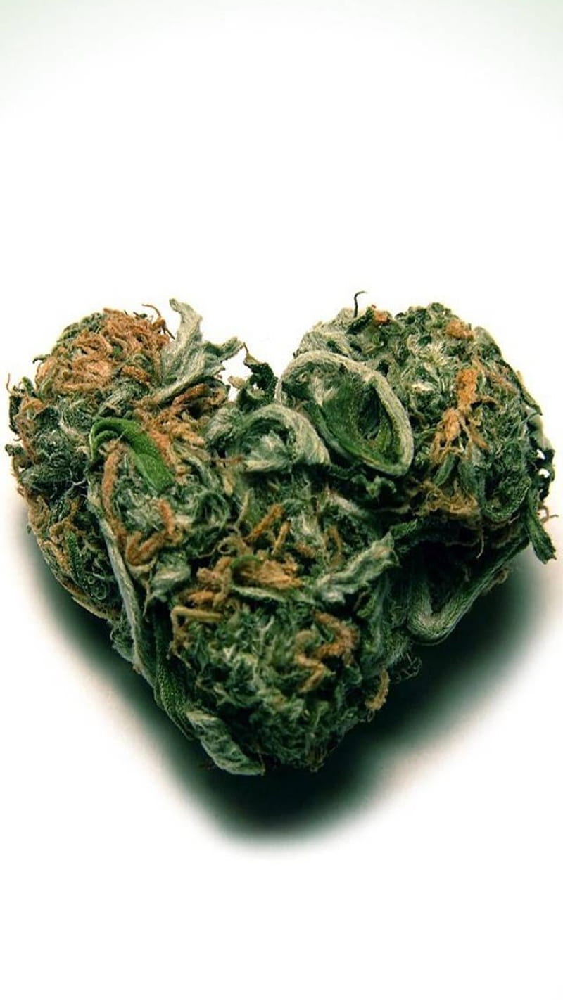 Cannaheart, cannabis, 420, one love, green, smoke, fecklessabandon,  legalise it, HD phone wallpaper | Peakpx