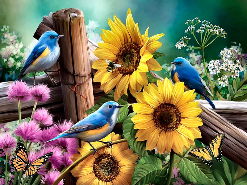 Sunflower Garden - Birds FC, art, bluebirds, songbirds, bonito, illustration, artwork, animal, butterfly, bird, avian, painting, wide screen, wildlife, flowers, nature, HD wallpaper