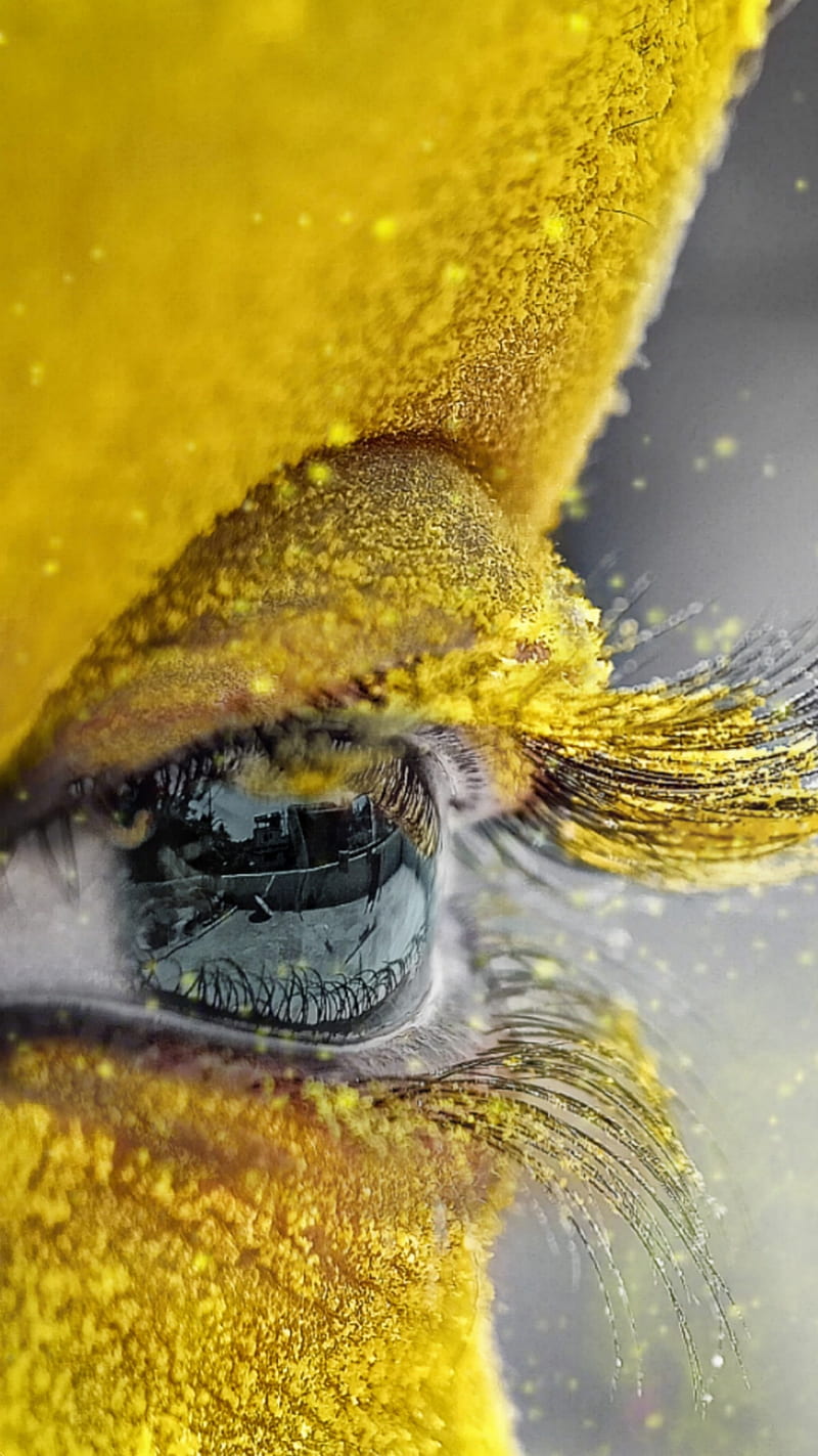 Yellow gulaal eyes in Holi , skin, eyebrows, colours, HD phone wallpaper