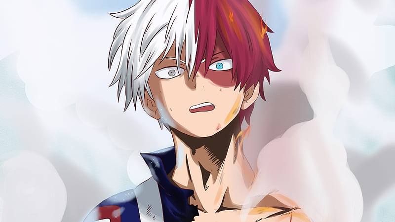 Enji Todoroki | My Hero Academia Wiki | Fandom