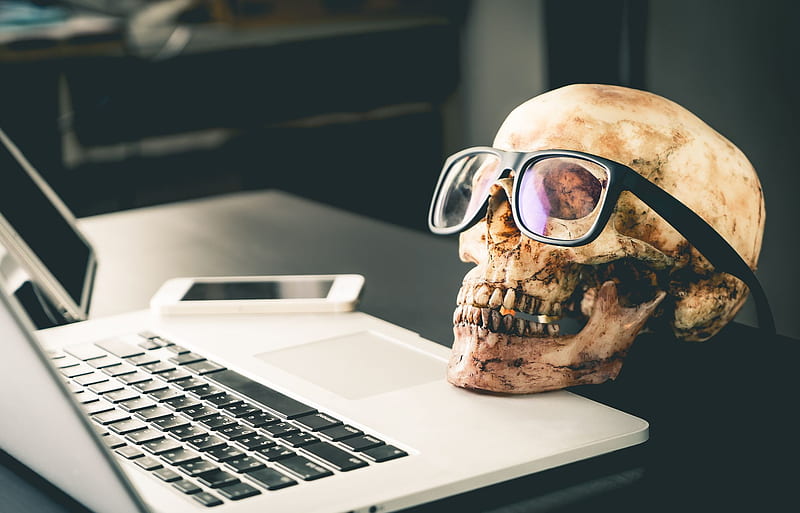 :D, bones, skull, laptop, halloween, glasses, funny, HD wallpaper