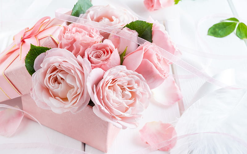Roses, rose, box, day, flower, valentine, pink, mother, gift, HD wallpaper