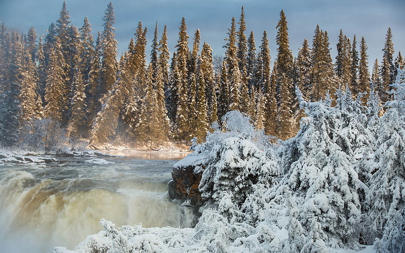 Pisew Falls, winter, forest, waterfall, river, winter landscape, Canada, Pisew Falls Provincial Park, Manitoba, HD wallpaper