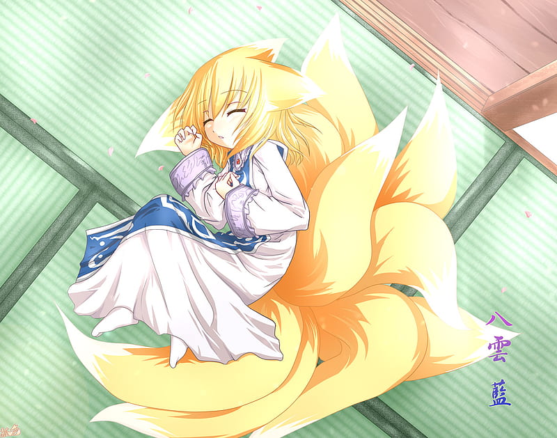 Ran Yakumo Cute Kitsune Tails Touhou Sleeping Hd Wallpaper Peakpx