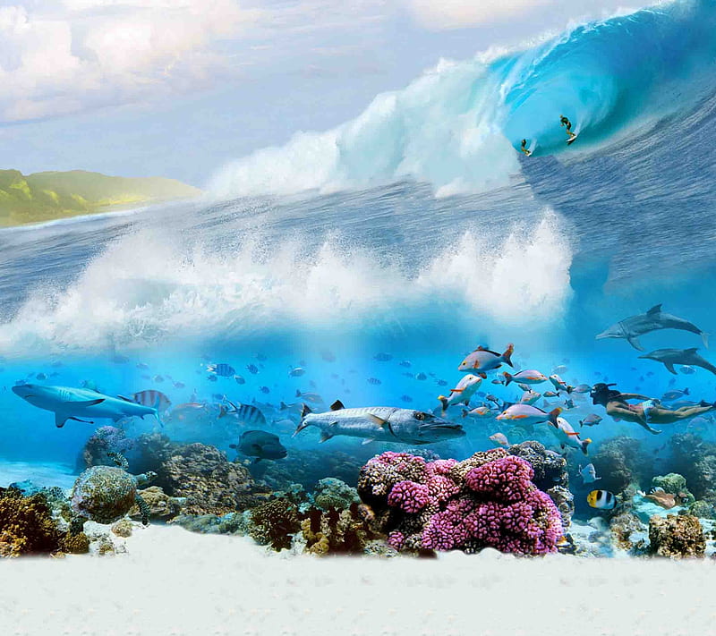 Ultimate Wave, tahiti, HD wallpaper