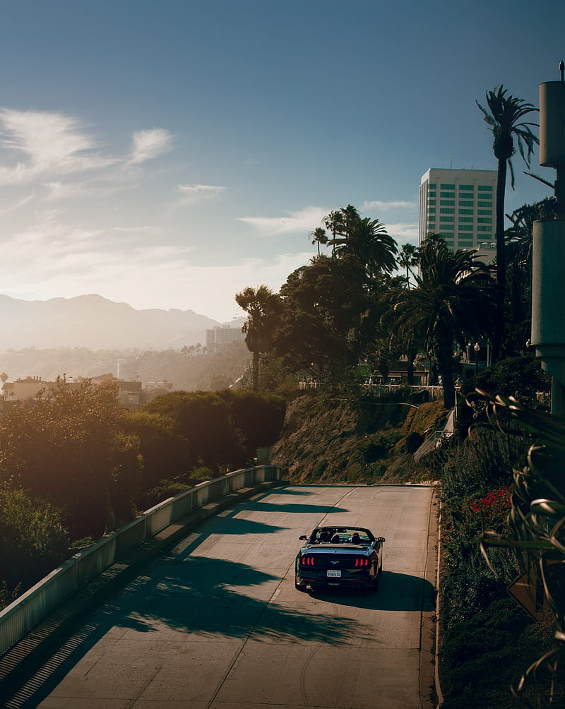 car, convertible, road, palm trees, HD phone wallpaper