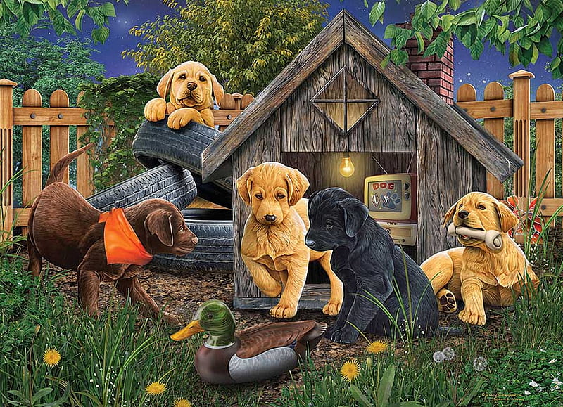 In the doghouse, television, puppies, dogs, fence, painting, garden, HD wallpaper